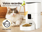 Automatic Pet Feeder