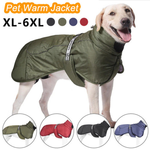 Dog Rain Coat