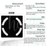 Smart Body Fat Scale