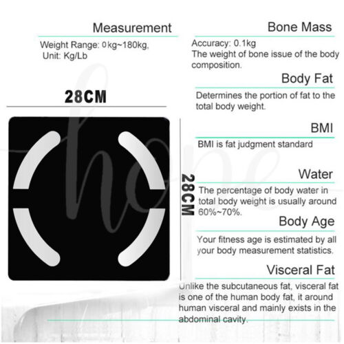 Smart Body Fat Scale